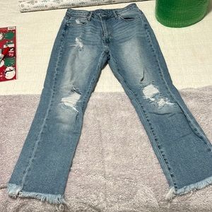 Articles of Society distressed Jean!